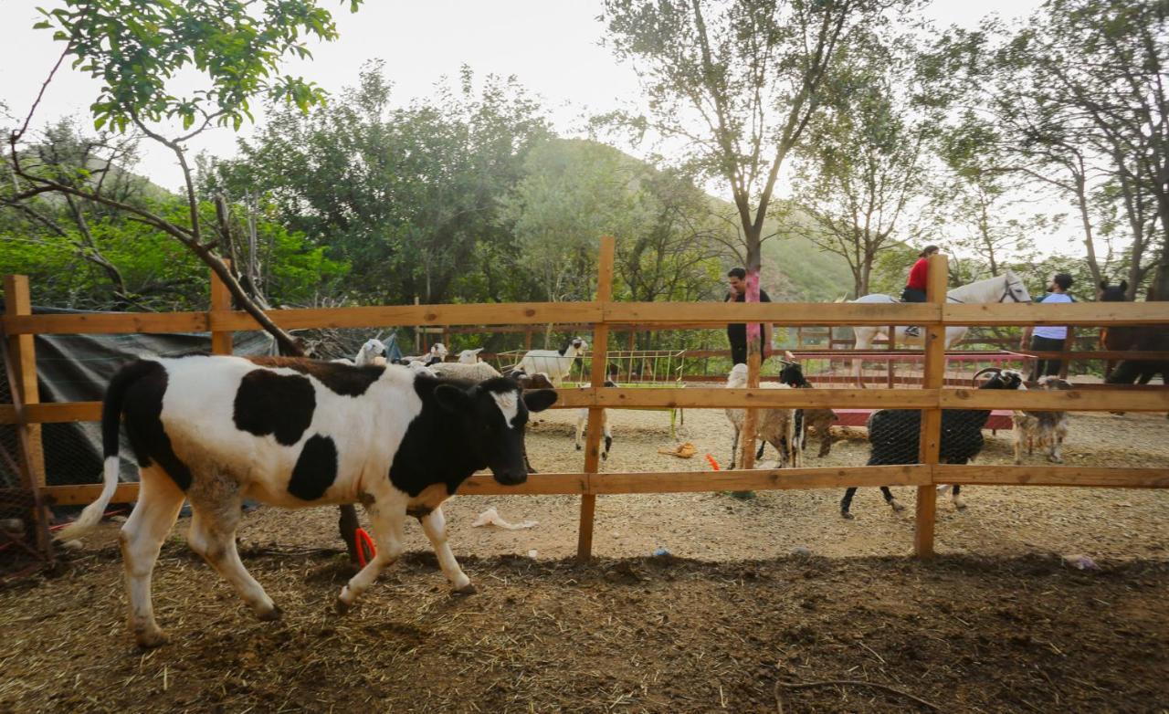 Ferme By Ikalimo Hotel Ourika Luaran gambar