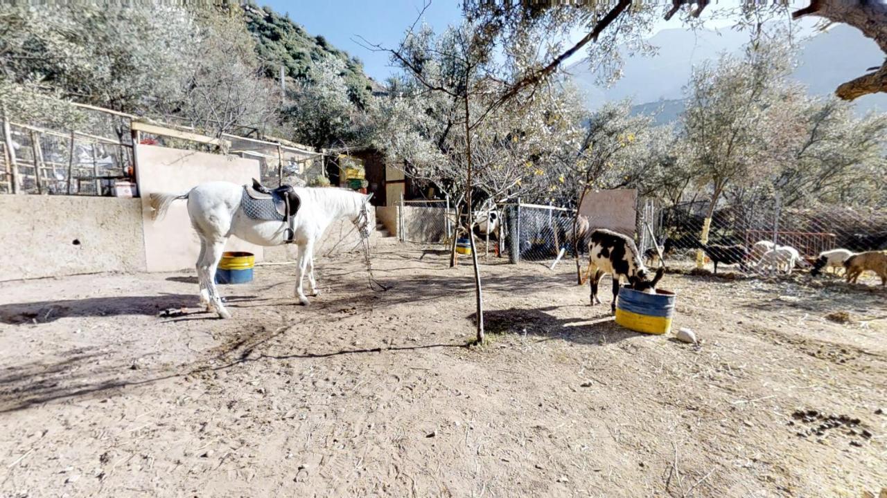 Ferme By Ikalimo Hotel Ourika Luaran gambar