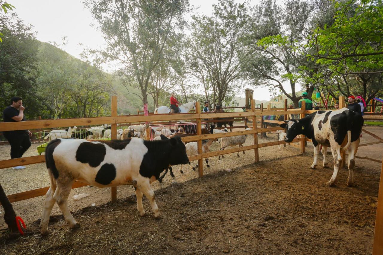 Ferme By Ikalimo Hotel Ourika Luaran gambar